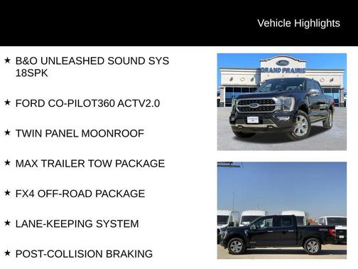 2021 Ford F-150 Platinum