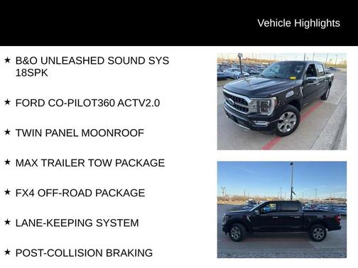 2021 Ford F-150 Platinum