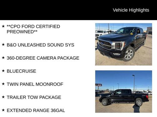 2021 Ford F-150 Platinum