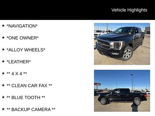 2021 Ford F-150 Platinum