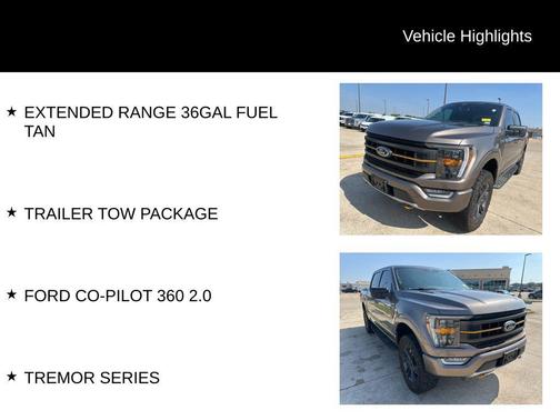 Stone Gray Metallic 2022 Ford F-150 Tremor