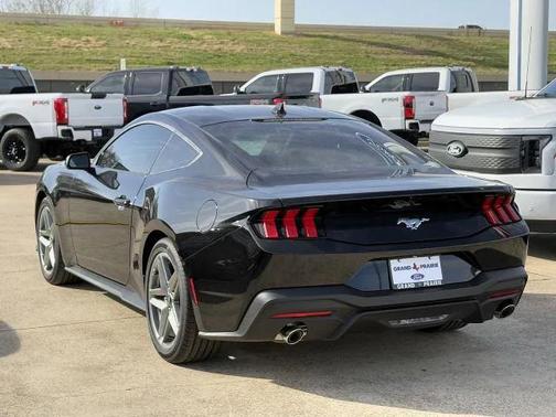 Shadow Black 2026 Ford Mustang EcoBoost