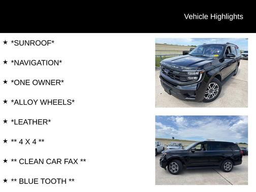 Agate Black 2025 Ford Expedition Active