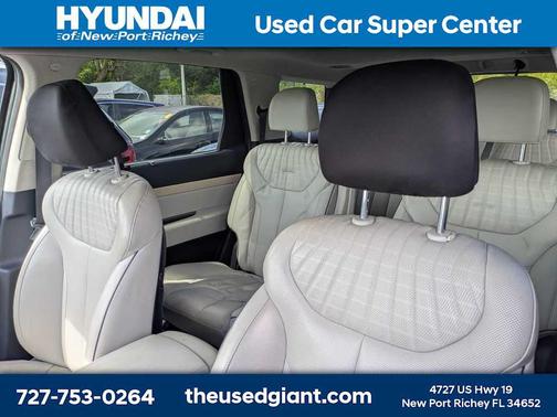Moonlight Cloud 2023 Hyundai PALISADE Limited