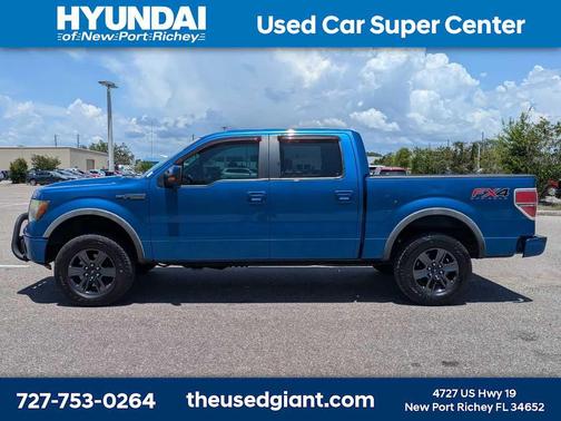 Blue Flame Metallic 2014 Ford F-150 FX4
