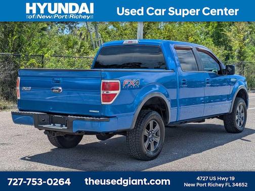Blue Flame Metallic 2014 Ford F-150 FX4