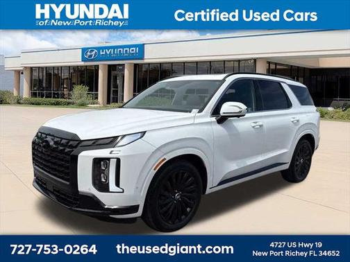 2025 Hyundai PALISADE Calligraphy Night Edition