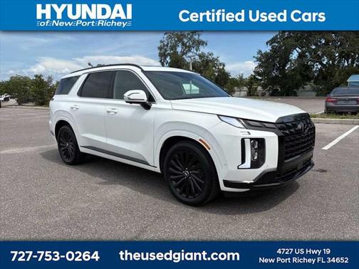 2025 Hyundai PALISADE Calligraphy Night Edition