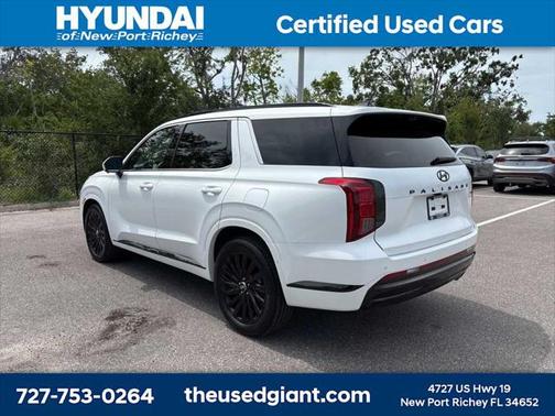 2025 Hyundai PALISADE Calligraphy Night Edition