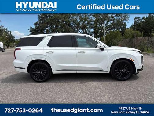 2025 Hyundai PALISADE Calligraphy Night Edition