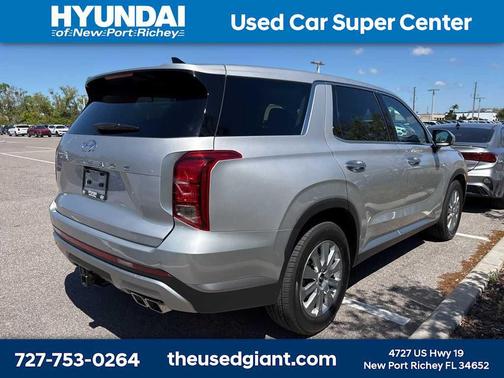 Typhoon Silver 2025 Hyundai PALISADE SE