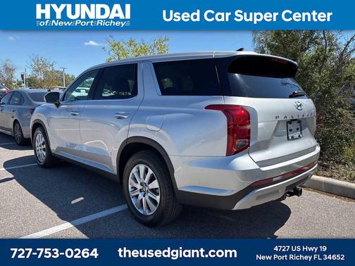 Typhoon Silver 2025 Hyundai PALISADE SE