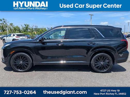 Abyss Black Pearl 2025 Hyundai PALISADE Calligraphy Night Edition