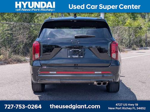 Abyss Black Pearl 2025 Hyundai PALISADE Calligraphy Night Edition