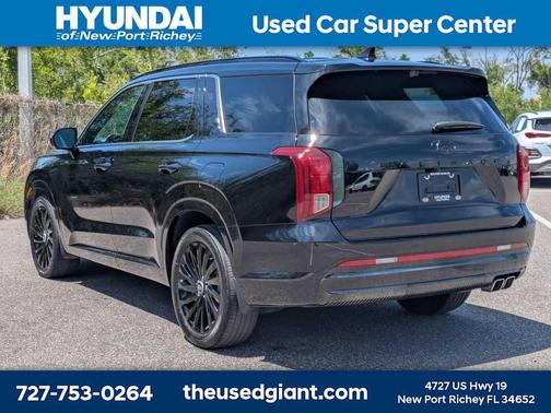 Abyss Black Pearl 2025 Hyundai PALISADE Calligraphy Night Edition
