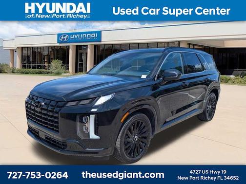 Abyss Black Pearl 2025 Hyundai PALISADE Calligraphy Night Edition