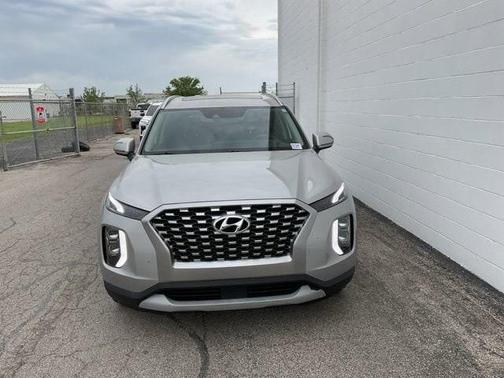 Typhoon Silver 2022 Hyundai PALISADE SEL