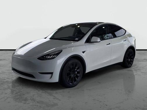 Pearl White Multi-Coat 2023 Tesla Model Y Long Range Dual Motor All-Wheel Drive