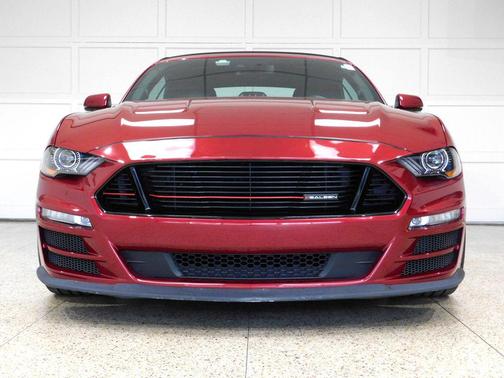 Ruby Red Metallic Tinted Clearcoat 2019 Ford Mustang GT Premium