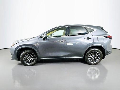 2024 Lexus NX 250 Premium