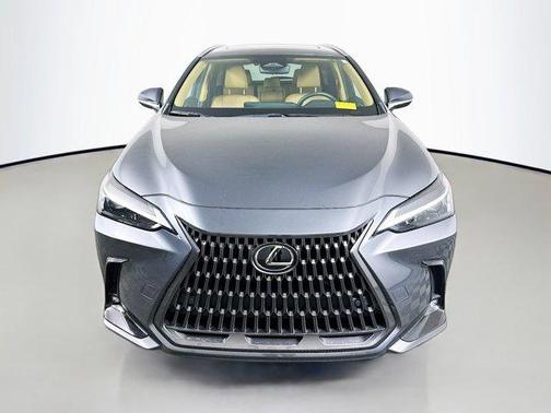2024 Lexus NX 250 Premium