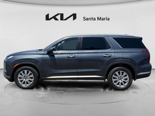 Steel Graphite 2025 Hyundai PALISADE SEL