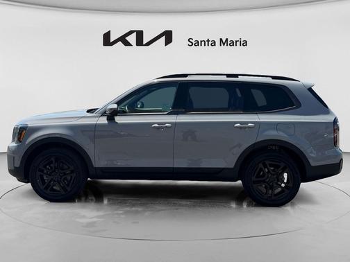 Wolf Gray 2025 Kia Telluride EX X-Line