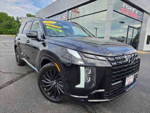 Hyundai PALISADE Calligraphy Night Edition