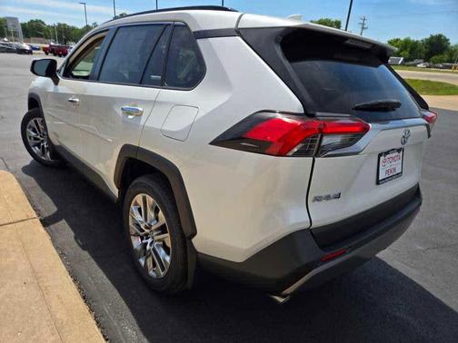 Blizzard Pearl 2019 Toyota RAV4 Limited