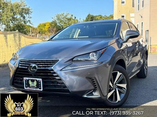 Nebula Gray Pearl 2019 Lexus NX 300 F Sport