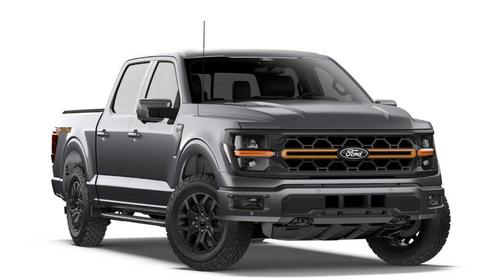 Gray 2026 Ford F-150 Tremor