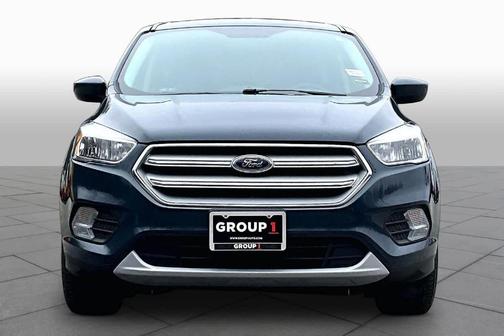 Baltic Sea Green Metallic 2019 Ford Escape SE
