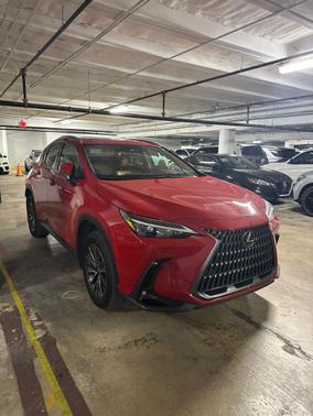 Redline 2025 Lexus NX 250