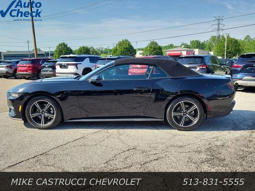 Shadow Black 2025 Ford Mustang EcoBoost Premium