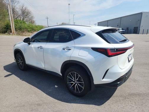 White Pearl 2024 Lexus NX 350 350 Base