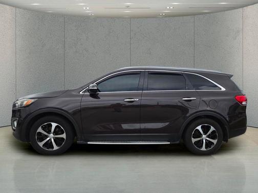 Polished Walnut 2018 Kia Sorento EX
