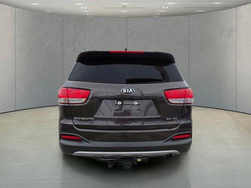 Polished Walnut 2018 Kia Sorento EX