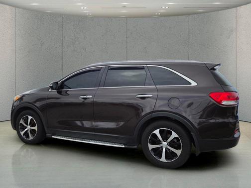 Polished Walnut 2018 Kia Sorento EX