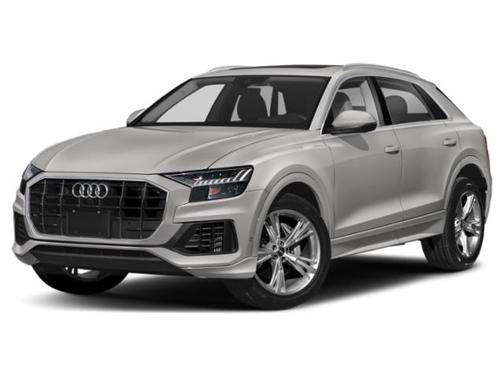 Florett Silver Metallic 2020 Audi Q8 55 Premium Plus