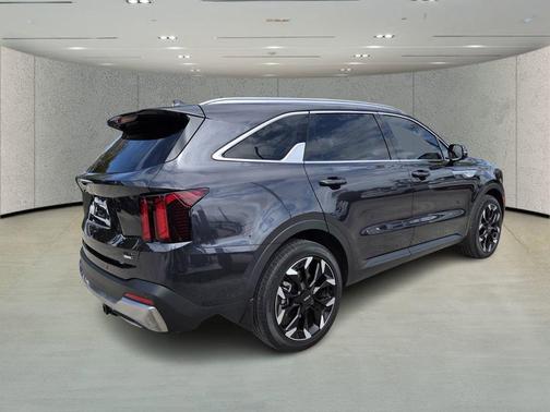 Panthera Metal 2025 Kia Sorento EX