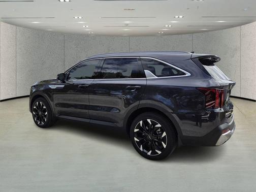 Panthera Metal 2025 Kia Sorento EX