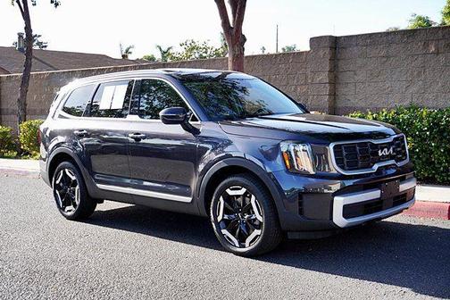 Panthera Metal 2025 Kia Telluride S