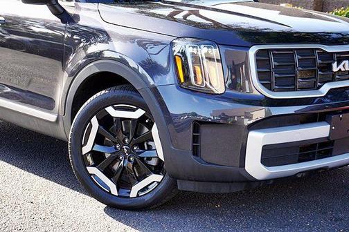 Panthera Metal 2025 Kia Telluride S