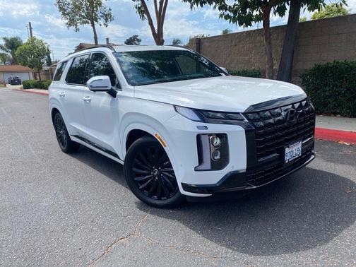 Hyper White 2025 Hyundai PALISADE Calligraphy Night Edition
