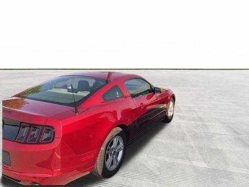 2014 Ford Mustang V6