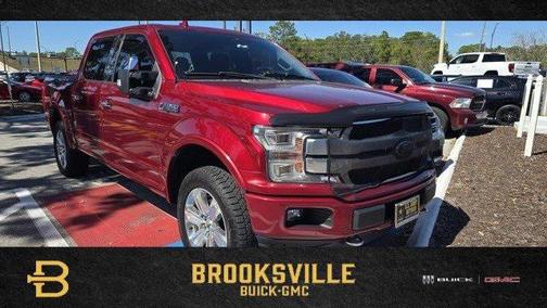 2019 Ford F-150 Platinum