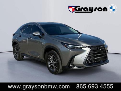 2025 Lexus NX 250 Base