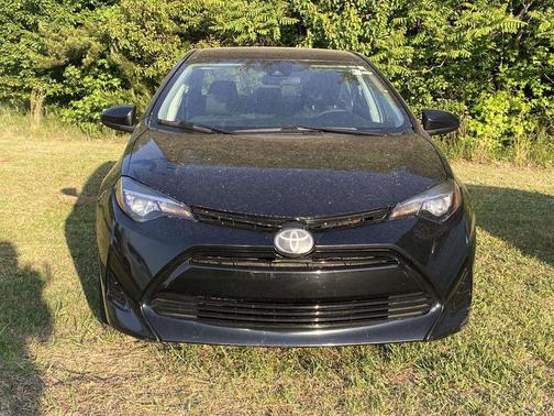 Black Sand Pearl 2019 Toyota Corolla LE