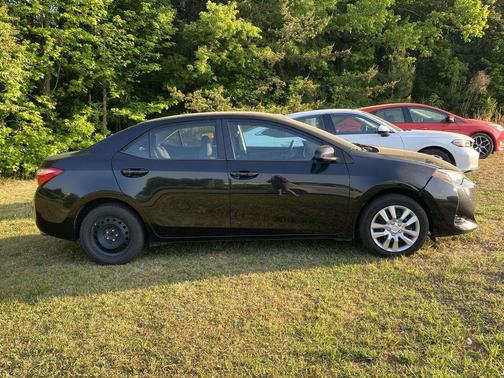 Black Sand Pearl 2019 Toyota Corolla LE