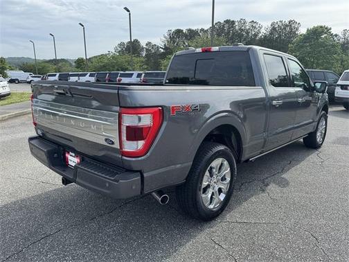 2021 Ford F-150 Platinum